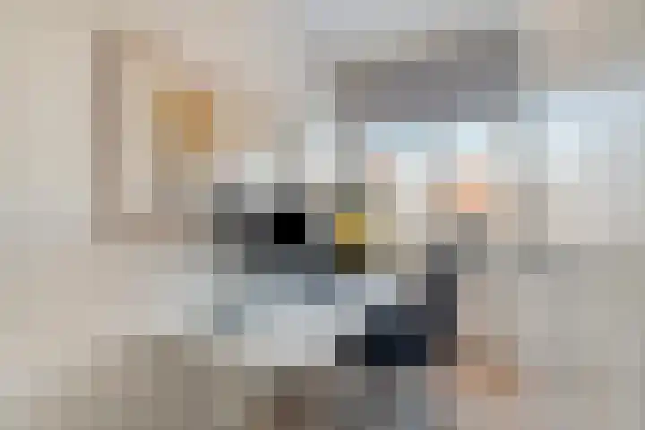 Beltmolen 33 Nunspeet thumbnail 27