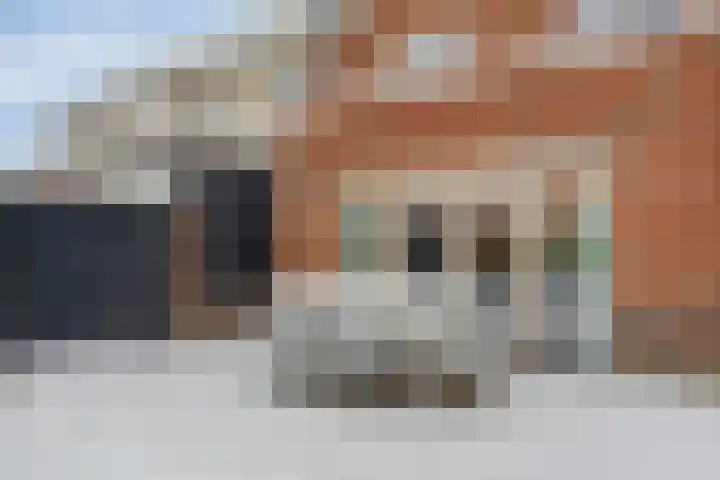 Beltmolen 33 Nunspeet thumbnail 39