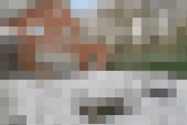 Beltmolen 33 Nunspeet thumbnail 41