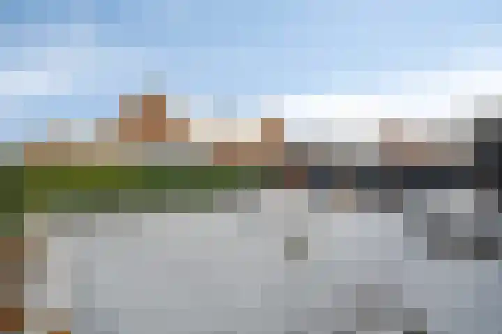 Beltmolen 33 Nunspeet thumbnail 42
