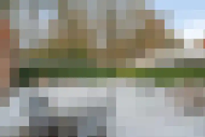 Beltmolen 33 Nunspeet thumbnail 44