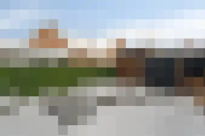 Beltmolen 33 Nunspeet thumbnail 45