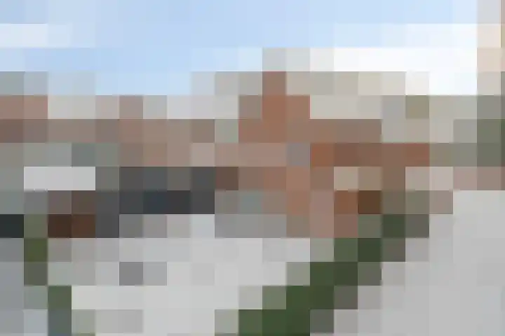 Beltmolen 33 Nunspeet thumbnail 46