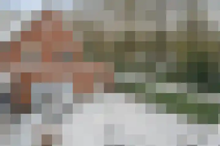 Beltmolen 33 Nunspeet thumbnail 47