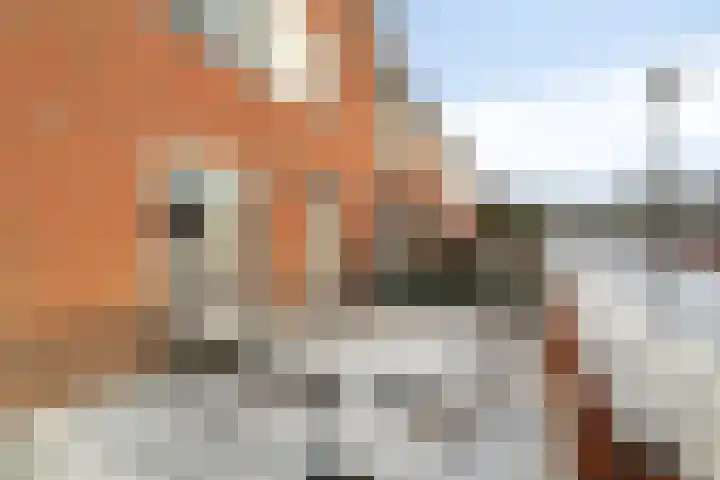 Beltmolen 33 Nunspeet thumbnail 6