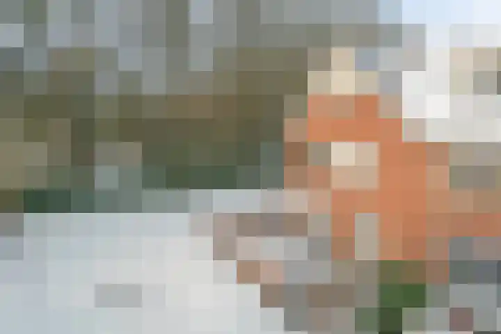 Beltmolen 33 Nunspeet thumbnail 7