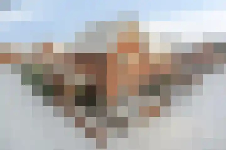 Beltmolen 33 Nunspeet thumbnail 8