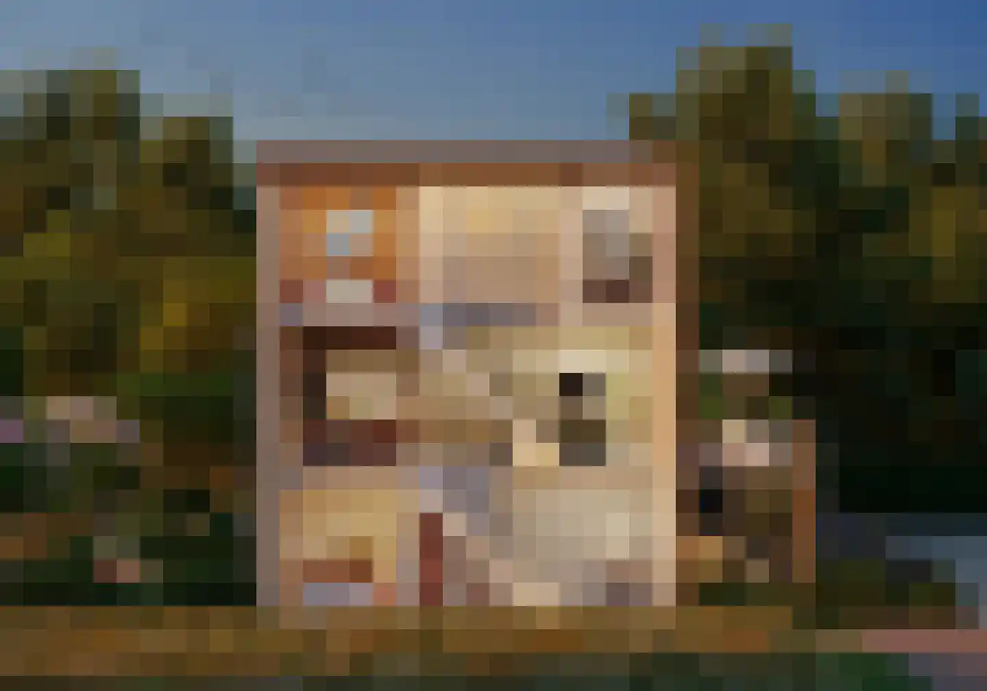 Beltmolen 36 Purmerend thumbnail 12