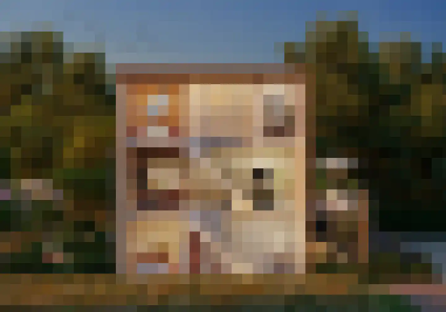Beltmolen 37 Purmerend thumbnail 11