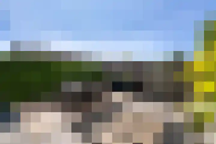 Beltmolen 38 Weert thumbnail 41
