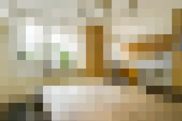 Beltmolen 40 Vianen thumbnail 13