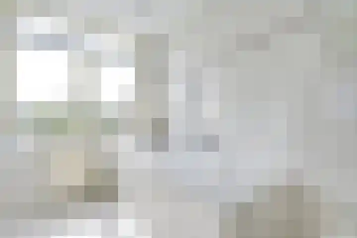 Beltmolen 40 Vianen thumbnail 33