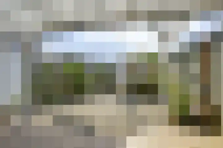 Beltmolen 40 Vianen thumbnail 52