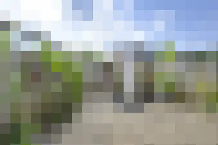 Beltmolen 40 Vianen thumbnail 53