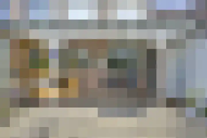 Beltmolen 40 Vianen thumbnail 54