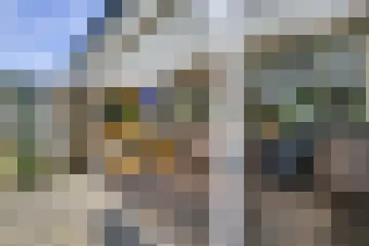 Beltmolen 40 Vianen thumbnail 57