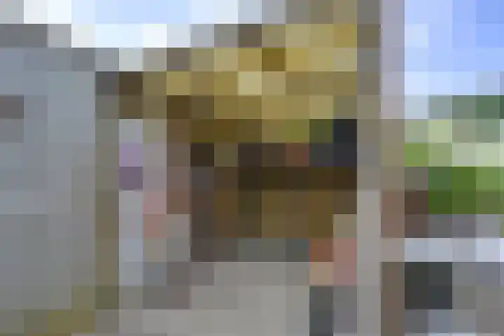 Beltmolen 40 Vianen thumbnail 58