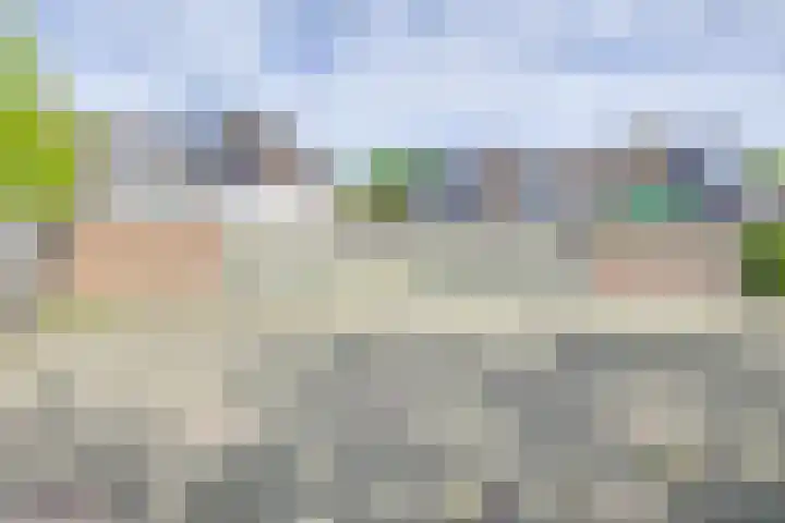 Beltmolen 40 Vianen thumbnail 60