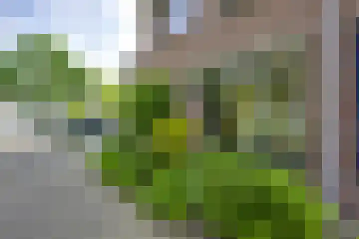 Beltmolen 40 Vianen thumbnail 63