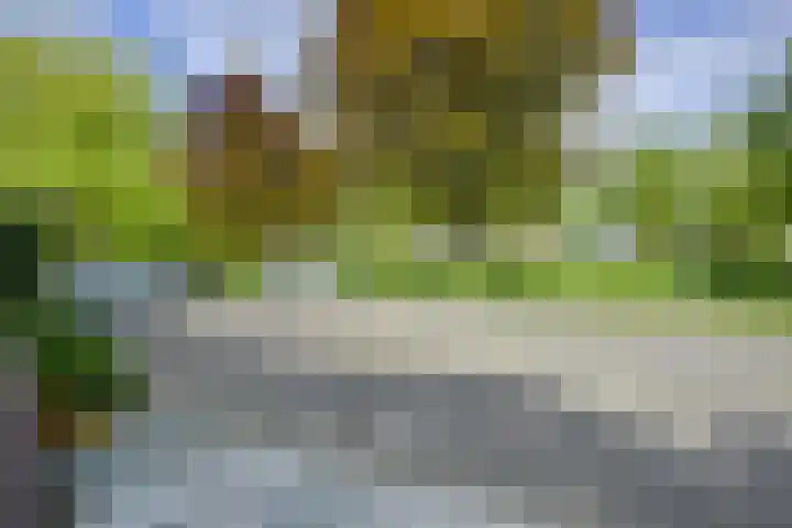 Beltmolen 40 Vianen thumbnail 64