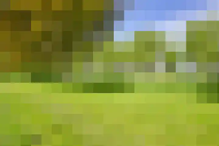 Beltmolen 40 Vianen thumbnail 65