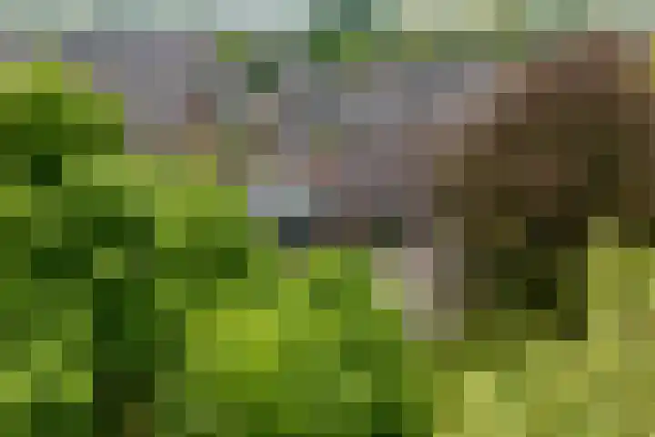 Beltmolen 40 Vianen thumbnail 66
