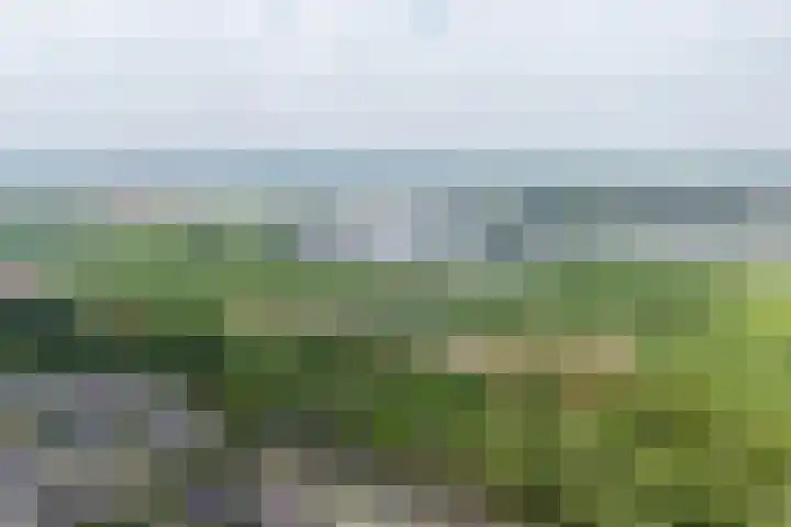 Beltmolen 40 Vianen thumbnail 67