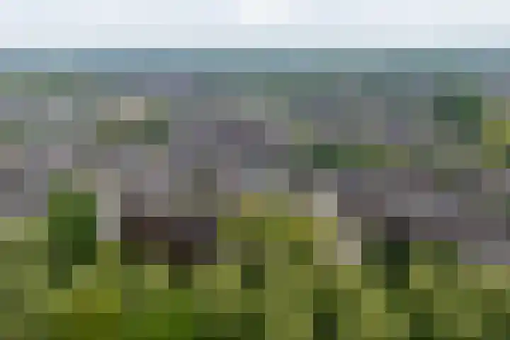 Beltmolen 40 Vianen thumbnail 68