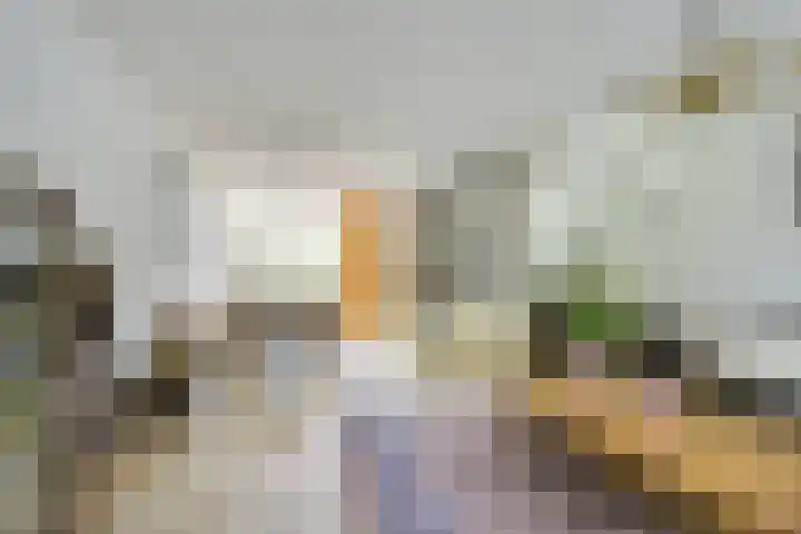 Beltmolen 40 Vianen thumbnail 7