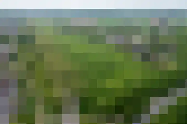 Beltmolen 40 Vianen thumbnail 70