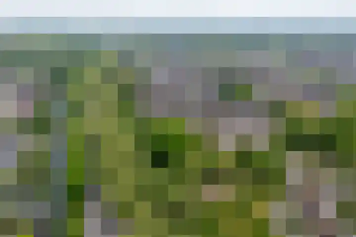 Beltmolen 40 Vianen thumbnail 71