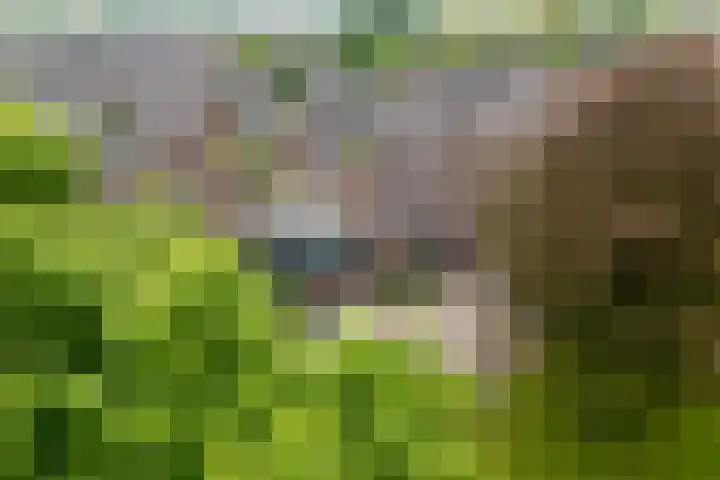 Beltmolen 40 Vianen thumbnail 72
