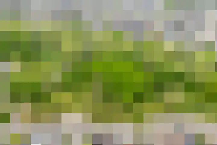Beltmolen 40 Vianen thumbnail 74