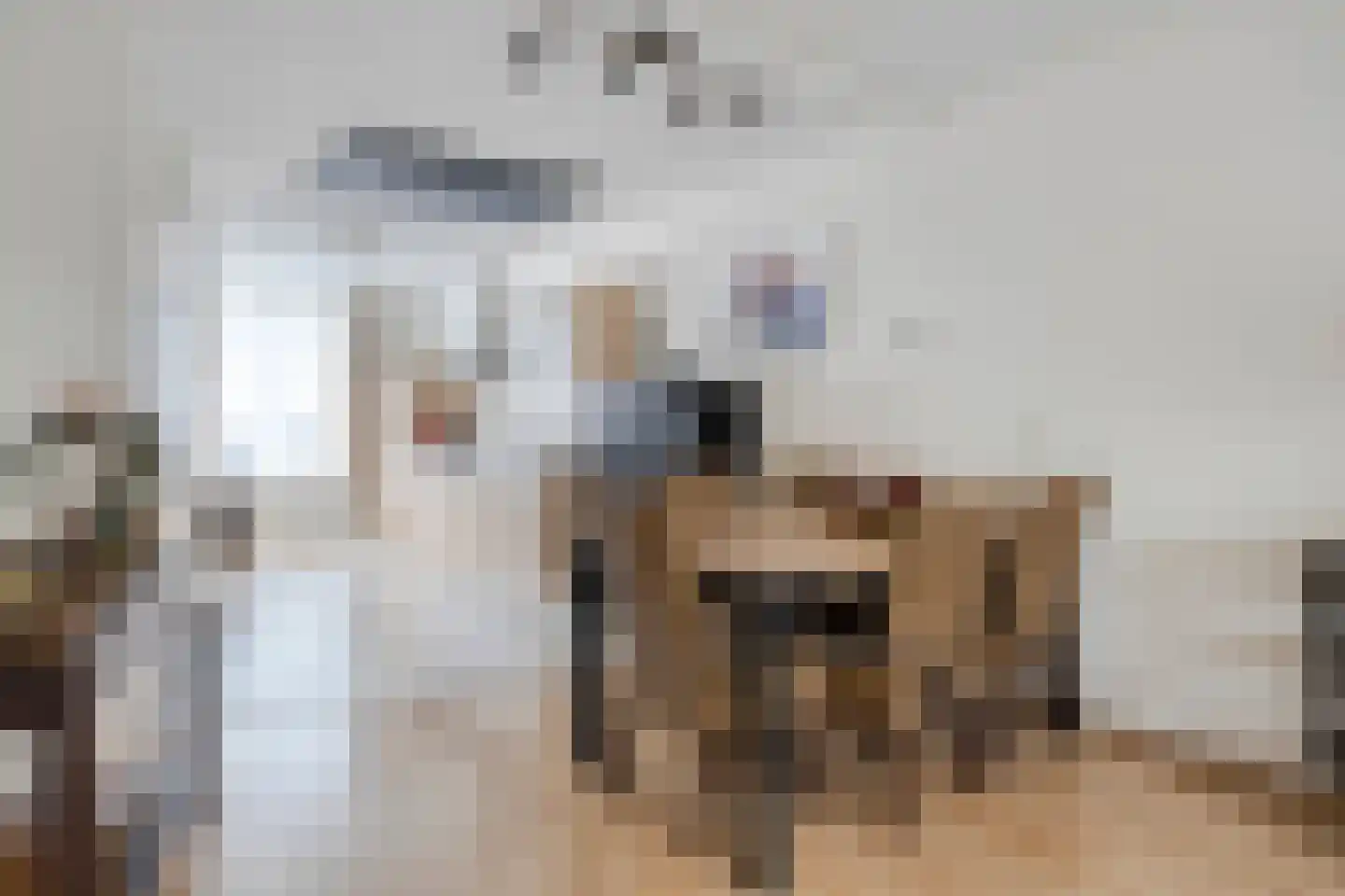 Beltmolen 44 Herten thumbnail 12