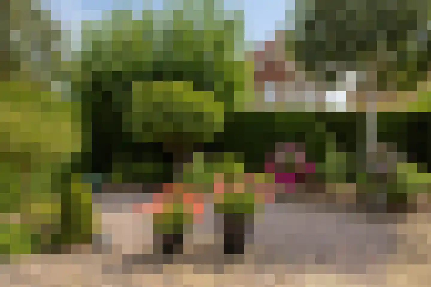 Beltmolen 44 Herten thumbnail 25