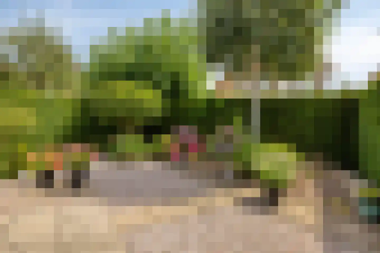 Beltmolen 44 Herten thumbnail 26