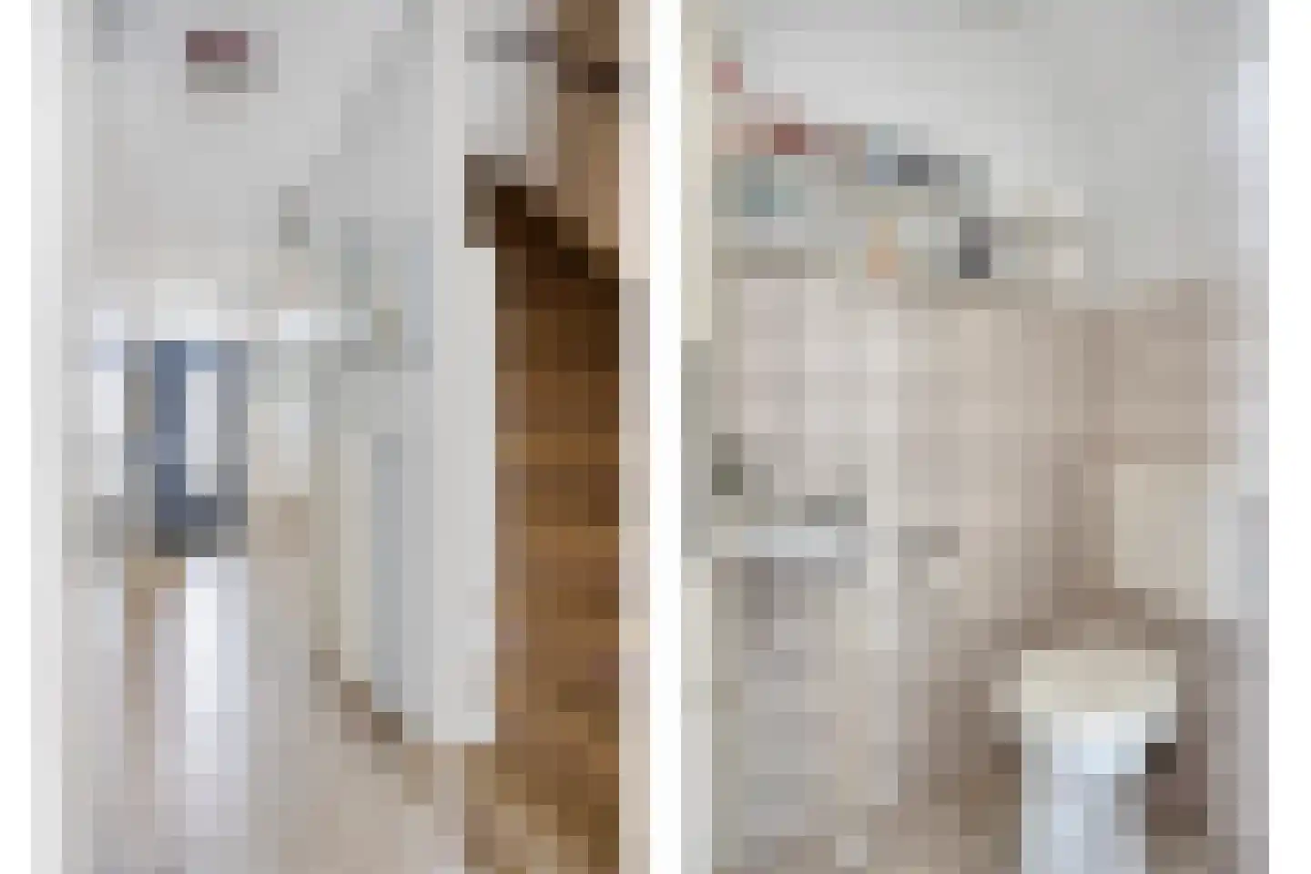 Beltmolen 44 Herten thumbnail 7