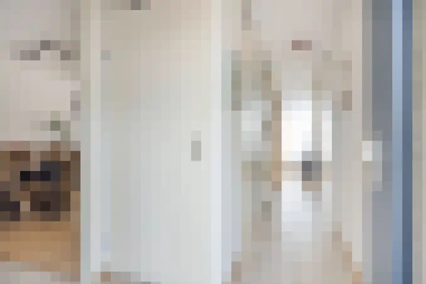 Beltmolen 44 Herten thumbnail 8
