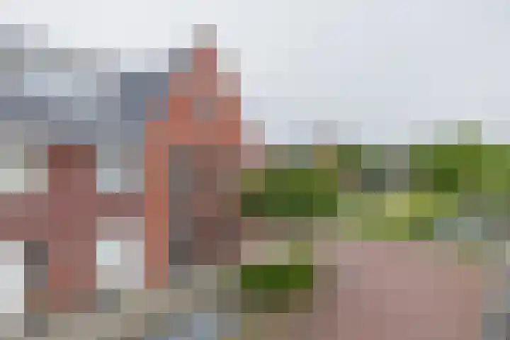 Beltmolen 47 Noordwijkerhout thumbnail 54