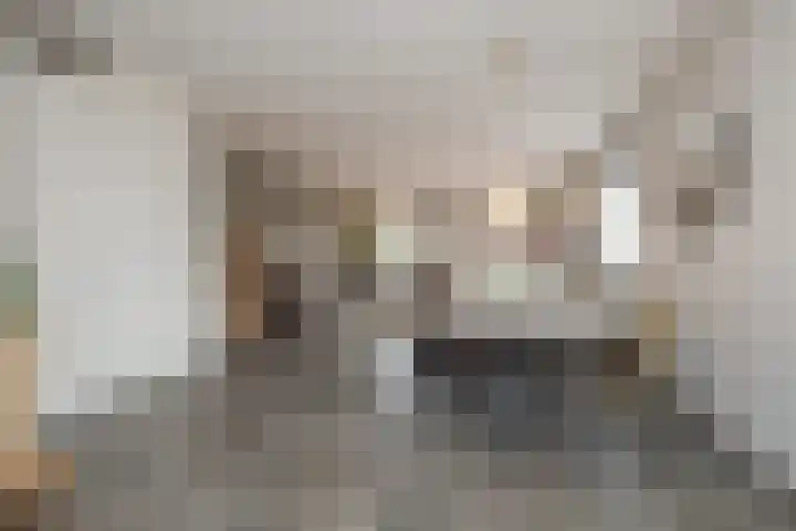 Beltmolen 47 Noordwijkerhout thumbnail 9