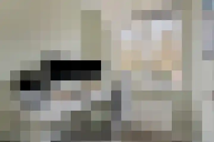 Beltmolen 49 Nunspeet thumbnail 24