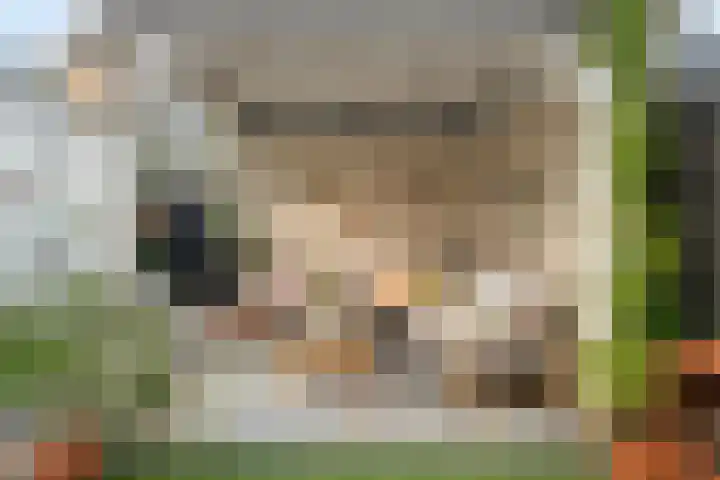 Beltmolen 49 Nunspeet thumbnail 32