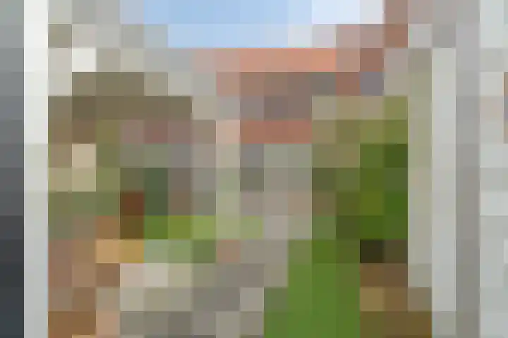 Beltmolen 49 Nunspeet thumbnail 34