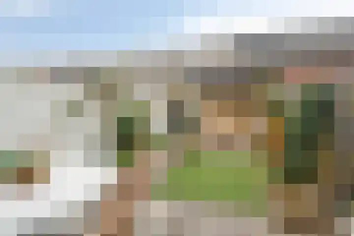 Beltmolen 49 Nunspeet thumbnail 37