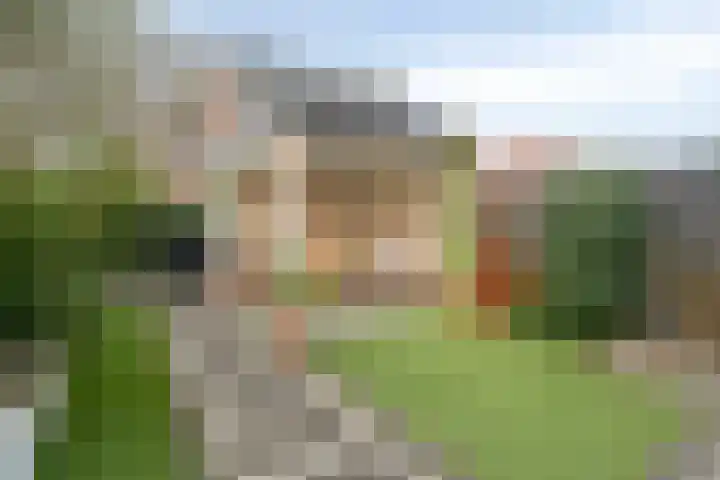 Beltmolen 49 Nunspeet thumbnail 38