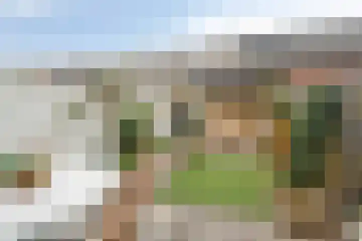 Beltmolen 49 Nunspeet thumbnail 4