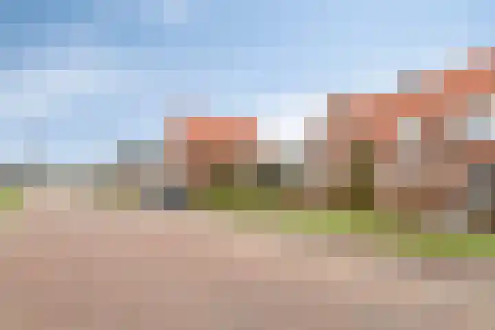 Beltmolen 49 Nunspeet thumbnail 40