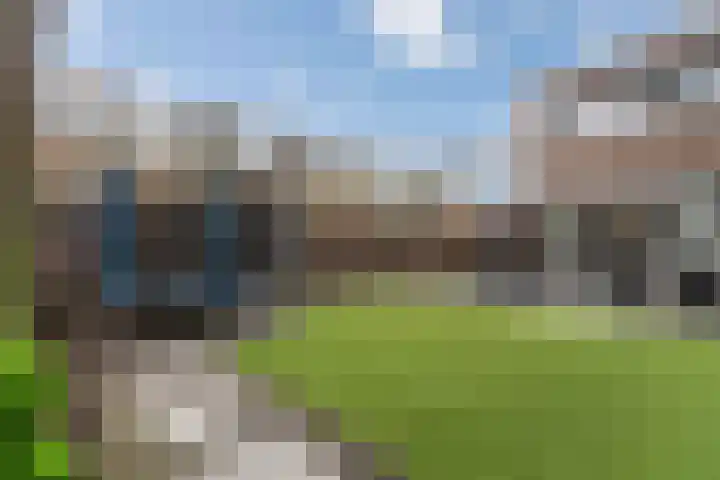 Beltmolen 50 Weert thumbnail 5