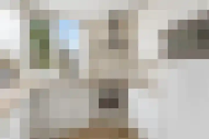 Beltmolen 51 Capelle aan den IJssel thumbnail 4