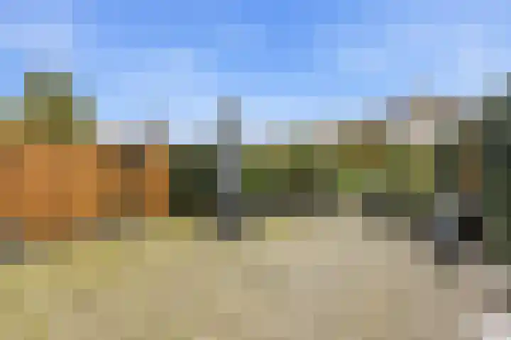 Beltmolen 51 Capelle aan den IJssel thumbnail 40